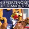 The Sportingbet Blue Diamond Stakes 2014