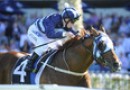 James McDonald to ride Shooting To Win in Guineas