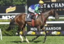 Speediness and Hooked for Crystal Mile