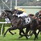 Fasika on track for rich $7.5m Golden Eagle