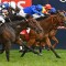 Hartnell to have Melbourne Cup week farewell