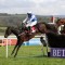 Cheltenham Gold Cup favourite barred from racing