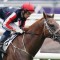Dalasan ready for C S Hayes Stakes clash
