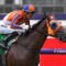Bosson has Mile confidence in Melody Belle