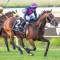 Carbine Club Of WA Stakes a wide open betting race