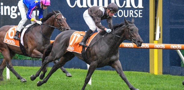Aidensfield set to run in new gear at Flemington