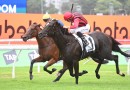 Tropical Squall too tough in Surround Stakes