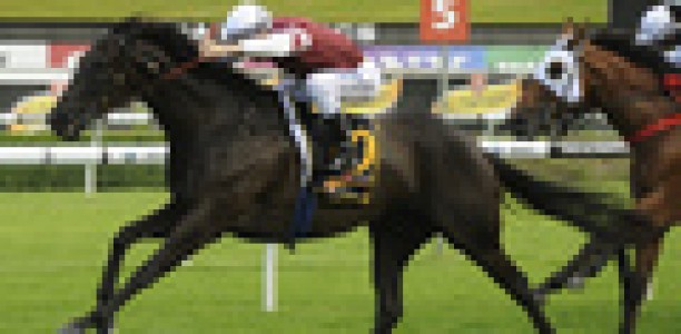 TVN Early Mail