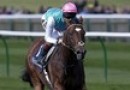 Frankel helping racing move international