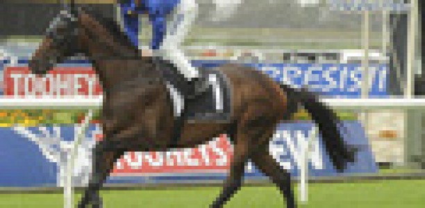 Spring stars in Rosehill Gardens gallops