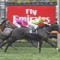 Commanding Jewel sizzles in Flemington jump-out