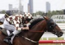 Backbone snares a city double