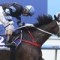The Cleaner too tough at Moonee Valley