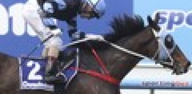 The Cleaner too tough at Moonee Valley