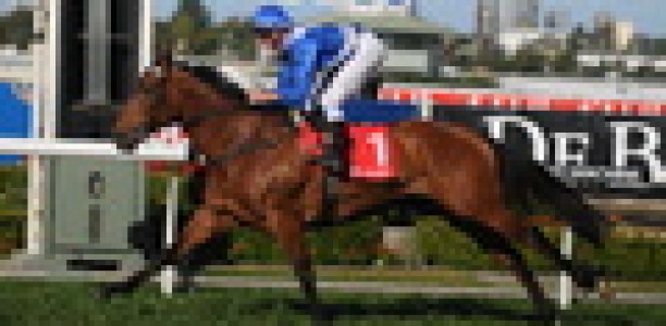 More Joyous has Frankel filly
