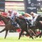Red Cadeaux on his way back to Melbourne