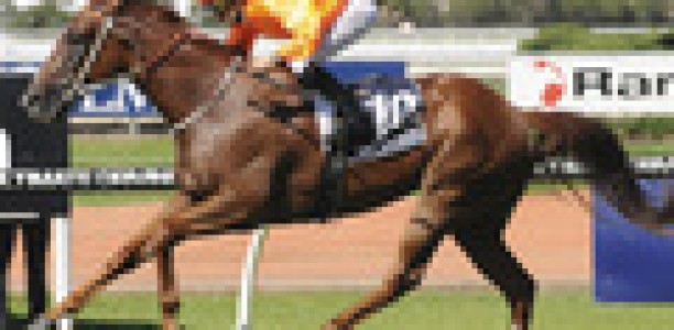Hawkes’ duo trials impressively