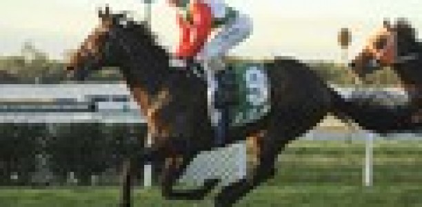 Missile Stakes entries outstanding