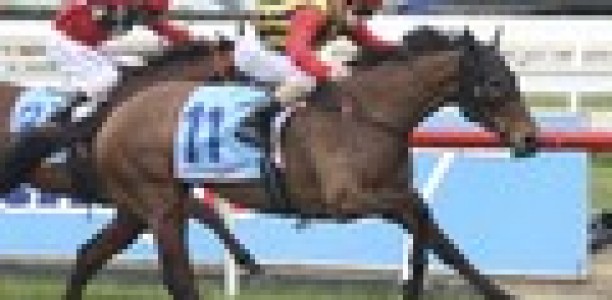 Aurie’s Star nominations extended