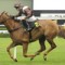 Missile punters like Rebel Dane and Sweet Idea