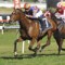 Cummings maps out path to Epsom for As Needed