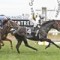 Gatewood bids for return trip to Melbourne