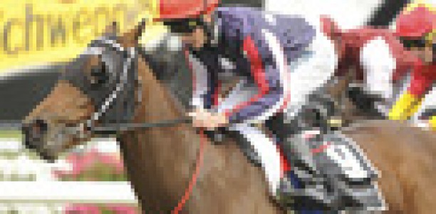 Schofield planning another Cox Plate assault
