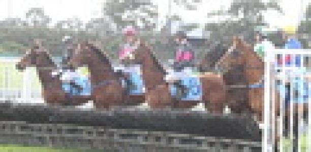 Fine halved for jumps jockey