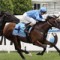 Smerdon happy Williams back in town