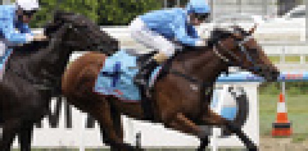 Smerdon happy Williams back in town