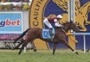 Caulfield rail position determined after drama