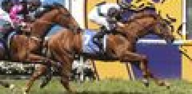 Hayes pair may find Vain too short