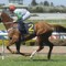 Exhibition gallops at Rosehill Gardens