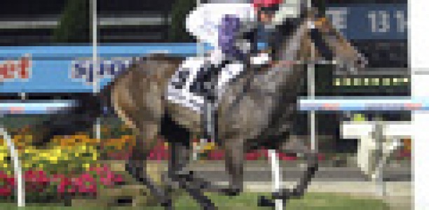 Head to Head: Quezette Stakes