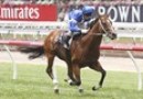 Nostradamus wins San Domenico