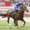 Nostradamus wins San Domenico