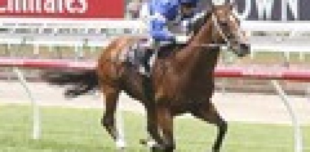 Nostradamus wins San Domenico