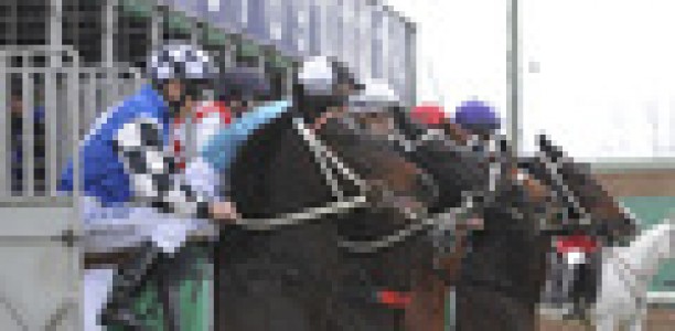 Today’s Rosehill trials put back a day