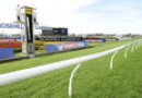 Rosehill trials now abandoned