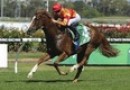 Carlyon Stakes attracts NSW trainers