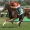 Carlyon Stakes attracts NSW trainers