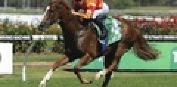 Carlyon Stakes attracts NSW trainers