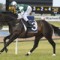 Cluster entered for two races at Randwick