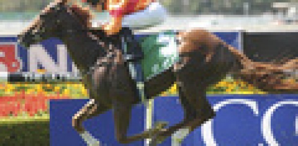 Kencella in Valley gallop prep for Carlyon
