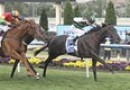Mukhadram Cox Plate picture clearer after Juddmonte