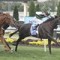 Mukhadram Cox Plate picture clearer after Juddmonte