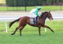 Love affair at Sportingbet Park continues for Tristram’s Sun