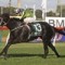 Lucia Valentina progressing well ahead of Toy Show