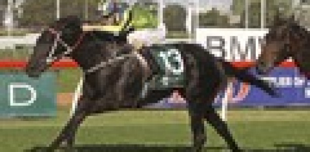 Lucia Valentina progressing well ahead of Toy Show