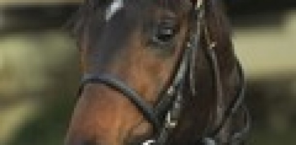 Mutual Regard puts himself in Melbourne Cup mix